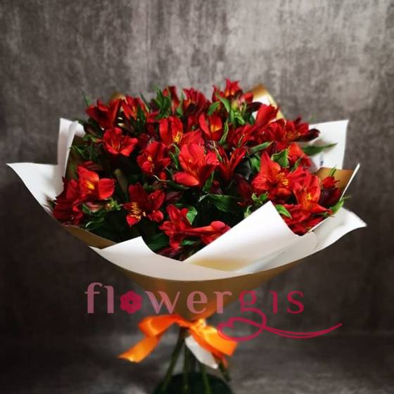 Многочисленная особенность